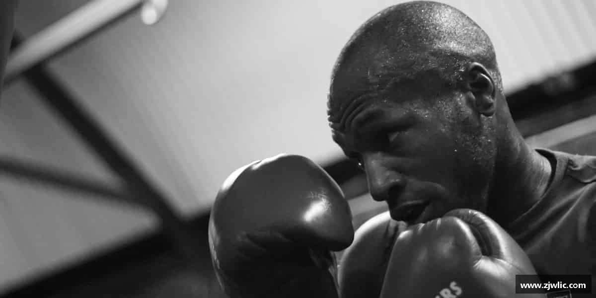 介绍yy易游官网